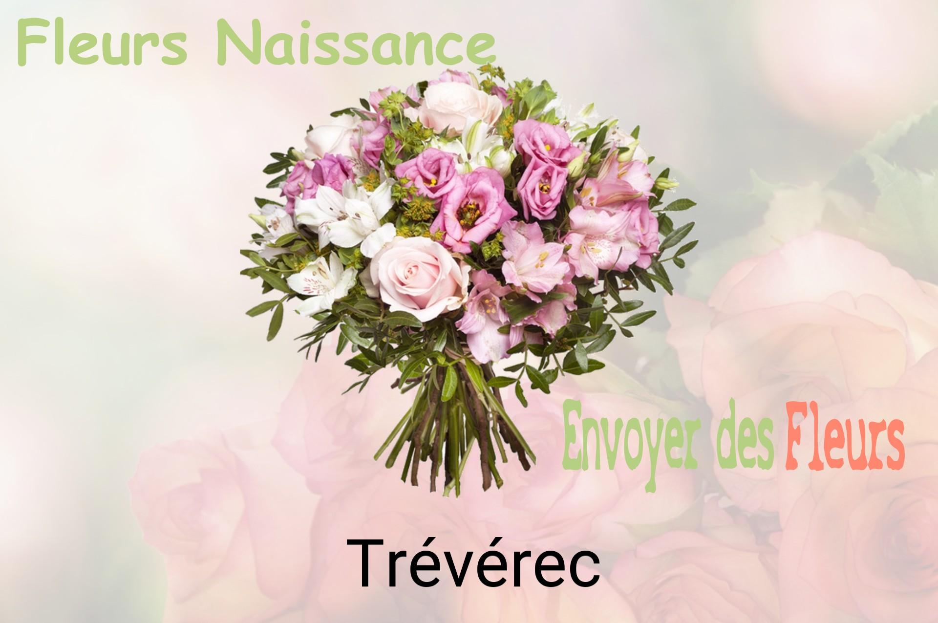 Bouquet de fleurs de naissance livré à Trévérec
